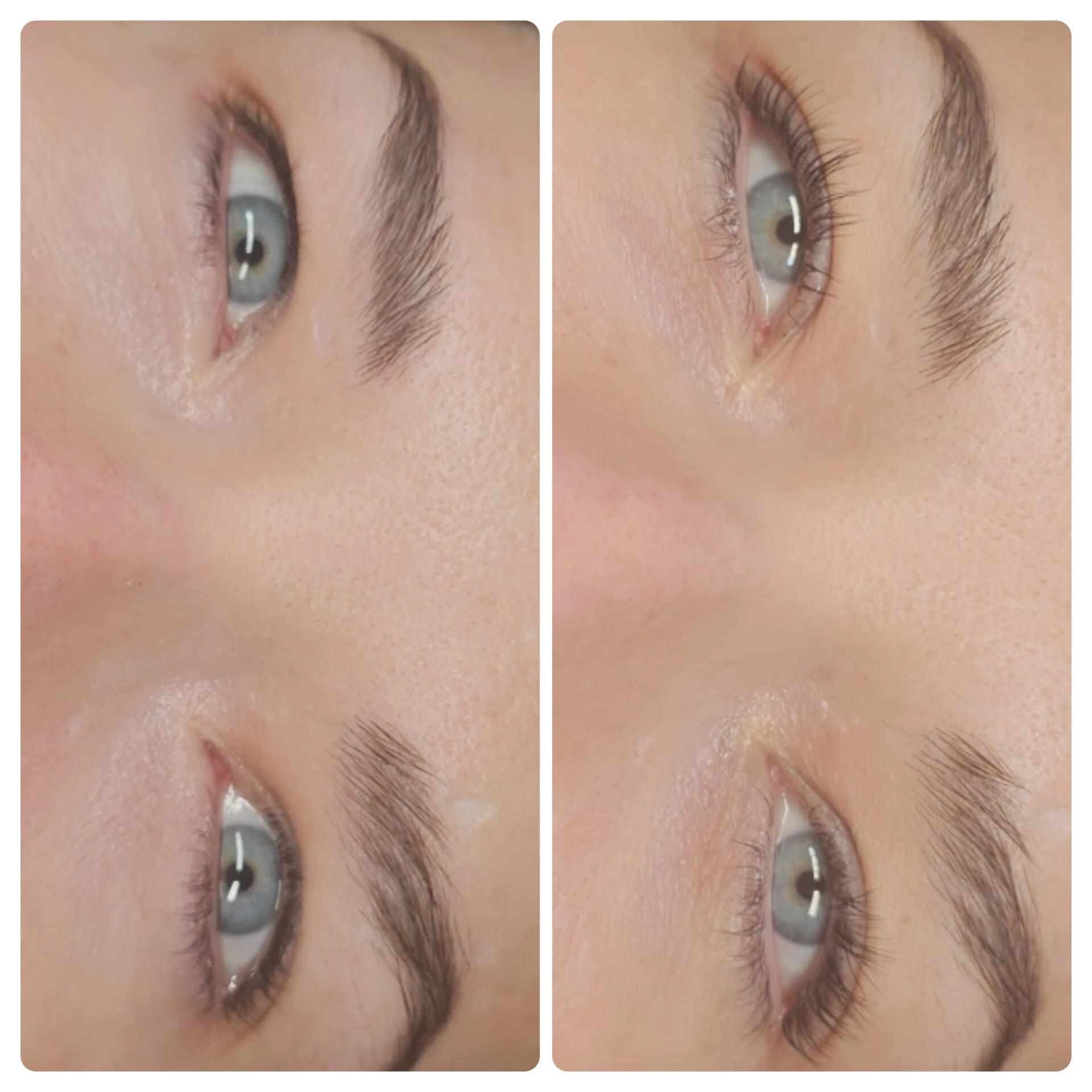 Side view of client lash lift and tint shown before and after treatment