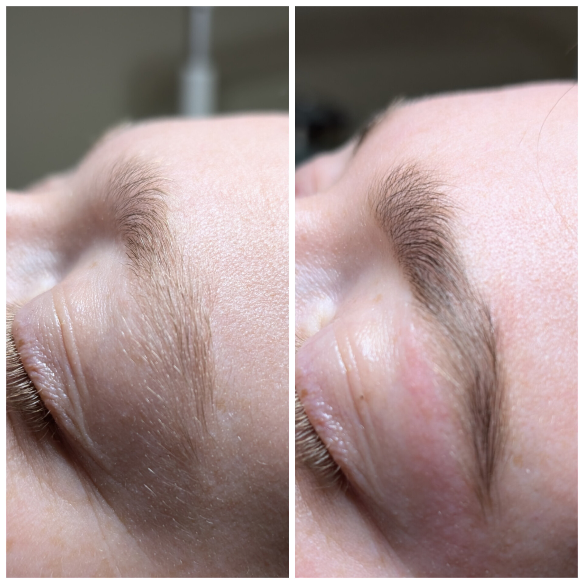 Client brow wax and tint shown before and after treatment